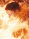 Friendly Fire