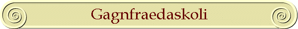 Gagnfraedaskoli