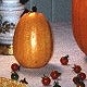 vegitable sample