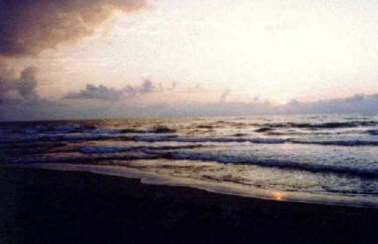 nkumu/BARTIN