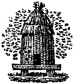 Abelujo