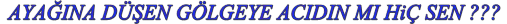 ayana_den_glgeye_ACIDINMI_H_SEN_???