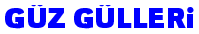 Gz_Glleri