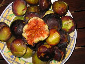 figs