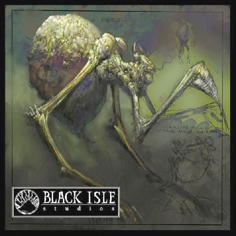 black isle