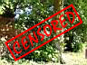 DSCF3318.JPG