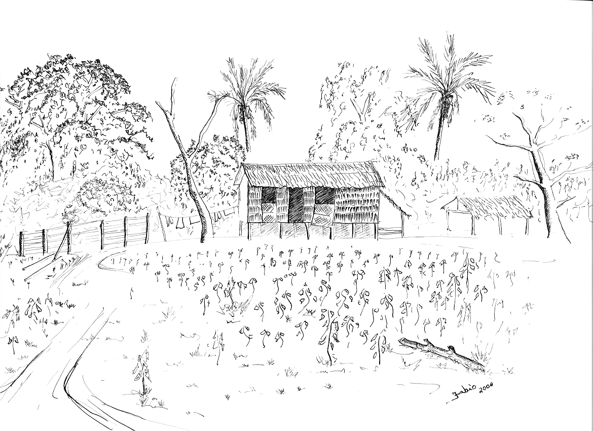 casa e curral na Baixada Maranhense