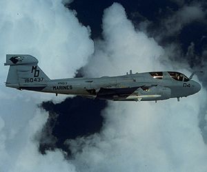EA-6B 
Prowler