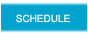 SCHEDULE