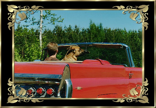 Bambie och husse