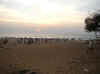Calangute_Beach.jpg (35951 bytes)