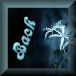 going back a page