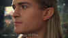 ears.jpg (49447 bytes)
