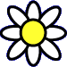 Small Daisy - Contact me