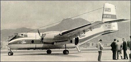 caribou