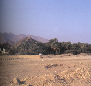   2000