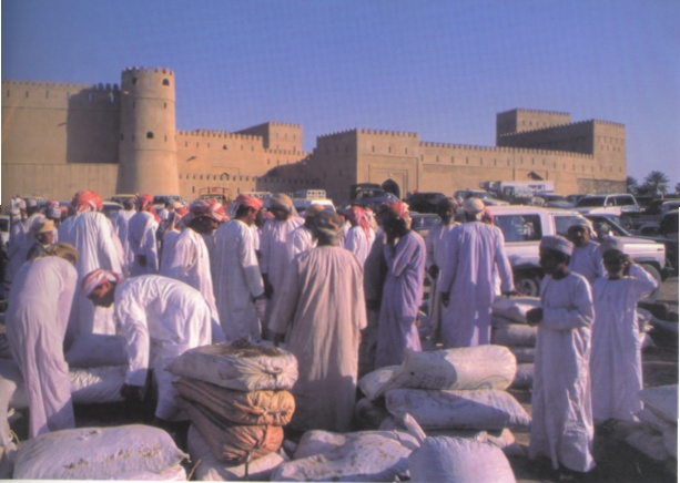    2000