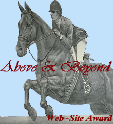 Above & Beyond Award - Click Here To Apply