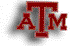 Texas A & M