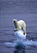 global_warming