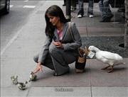 scam_in_action