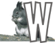 w
