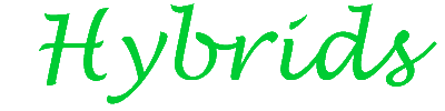 Hybrid