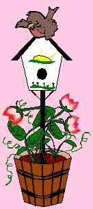 Robin's Birdhouse