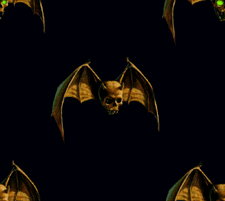 terror24