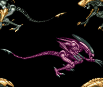 alien17
