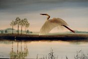 Egret