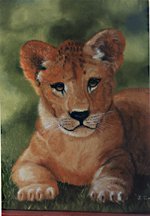 Lion cub
