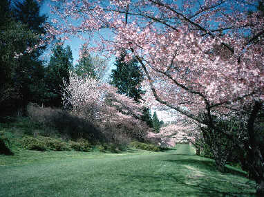 Spring Queems When Spring Comes Round