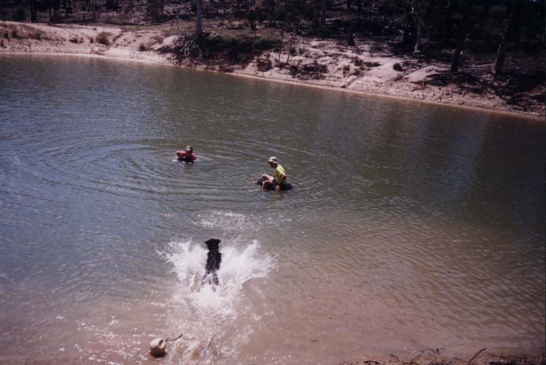 Swimming in the BIG dam.