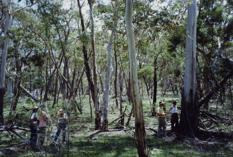 Your own private bushwalks.