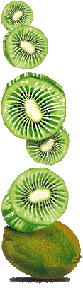 /user/kiwifruitgroup.gif