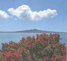 /user/rangitoto.jpg