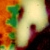 Intense zoom of april.