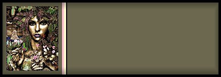 blank
