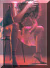 pict0016ideechaus.jpg (48709 bytes)