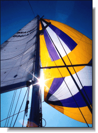 0.75 oz spinnaker