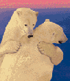 polbearc.gif (9806 bytes)