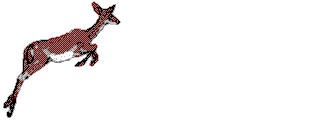 whittail.gif (5361 bytes)