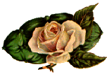 picture of a rose from http://members.arttoday.com/