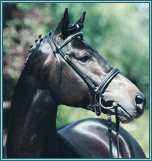 � Gest�t Sommerlade