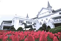 Click on Roses Image for My First Visit to Churchill Downs