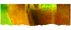 Favorite Sites