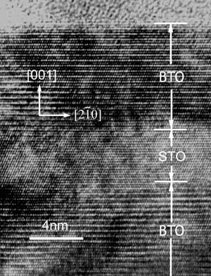 tem.jpg (40275 bytes)