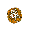 fuegos.gif - 22036 Bytes