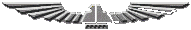 T-Bird Logo